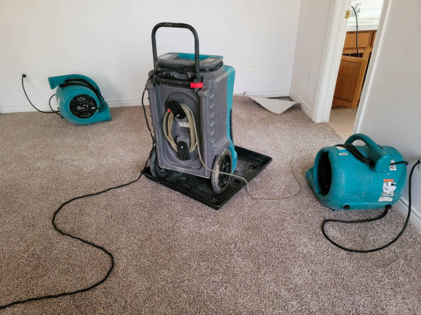 Best Carpet water damage restoration  in Hyde Park, UT
