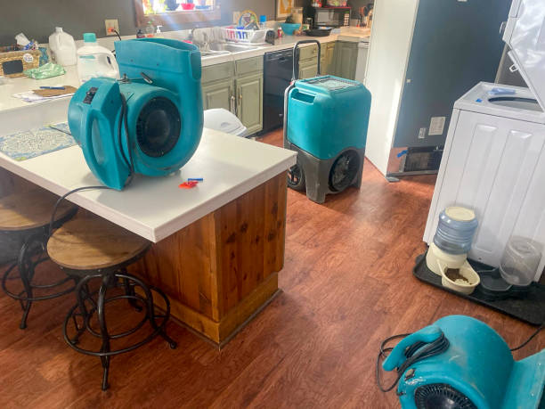 Professional Water damage restoration in Hyde Park, UT