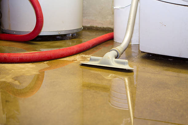 Best Fire Damage Restoration  in Hyde Park, UT