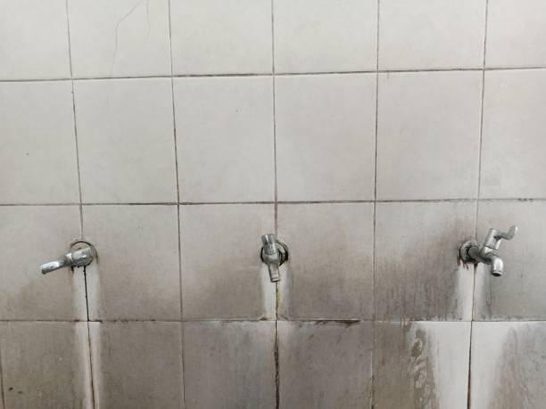 Best Sewage cleanup and water damage restoration  in Hyde Park, UT