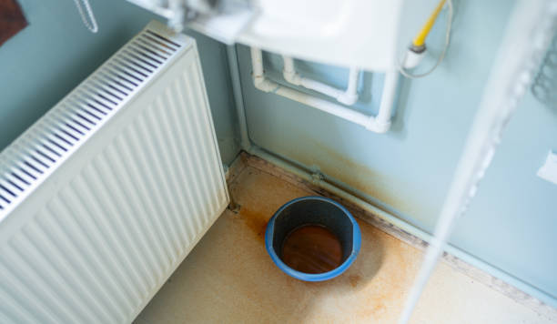 Best Water damage cleanup near me  in Hyde Park, UT