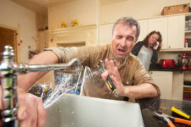 Best Water damage mitigation services  in Hyde Park, UT